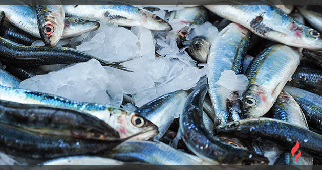 sardinas-a-la-brasa